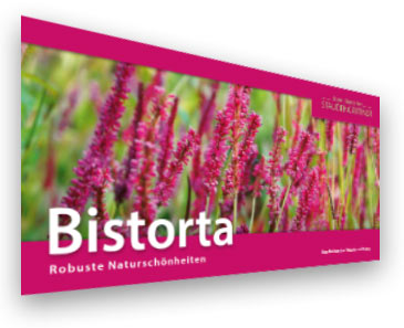 Bistorta
